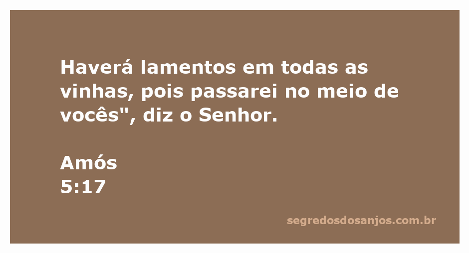 Imagem representativa de lamentos nas vinhas, simbolizando a passagem de Amós 5:17.