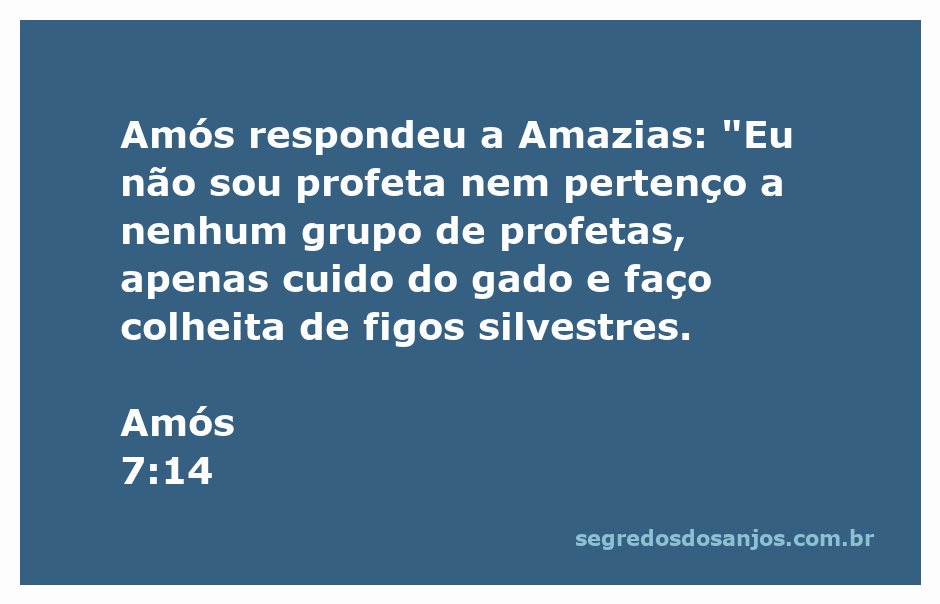 Ilustração de Amós respondendo a Amazias sobre sua identidade como pastor e agricultor.
