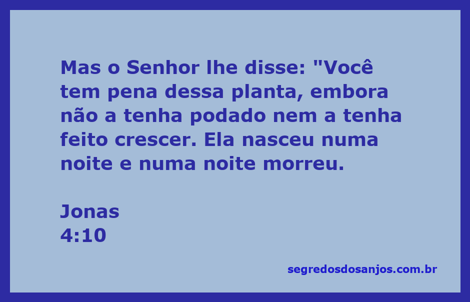 Ilustração de uma planta murcha simbolizando a passagem de Jonas 4:10.