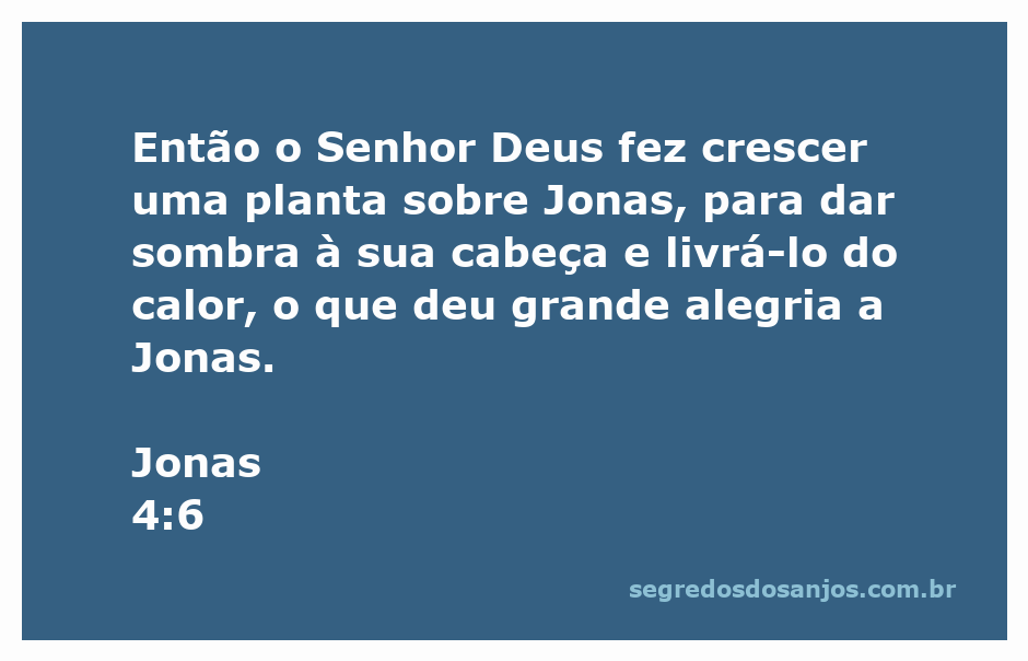 Ilustração de Jonas sob a sombra de uma planta, simbolizando alívio e alegria.