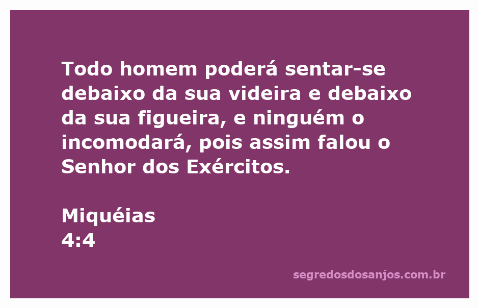 Homem desfrutando de tranquilidade sob uma videira e uma figueira, simbolizando paz e segurança.