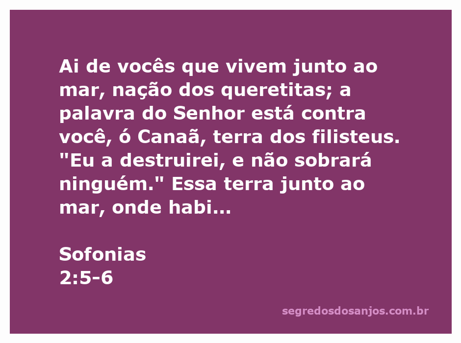 Imagem representativa da passagem de Sofonias 2:5-6, destacando a destruição da terra dos filisteus e a promessa de pastores e ovelhas.