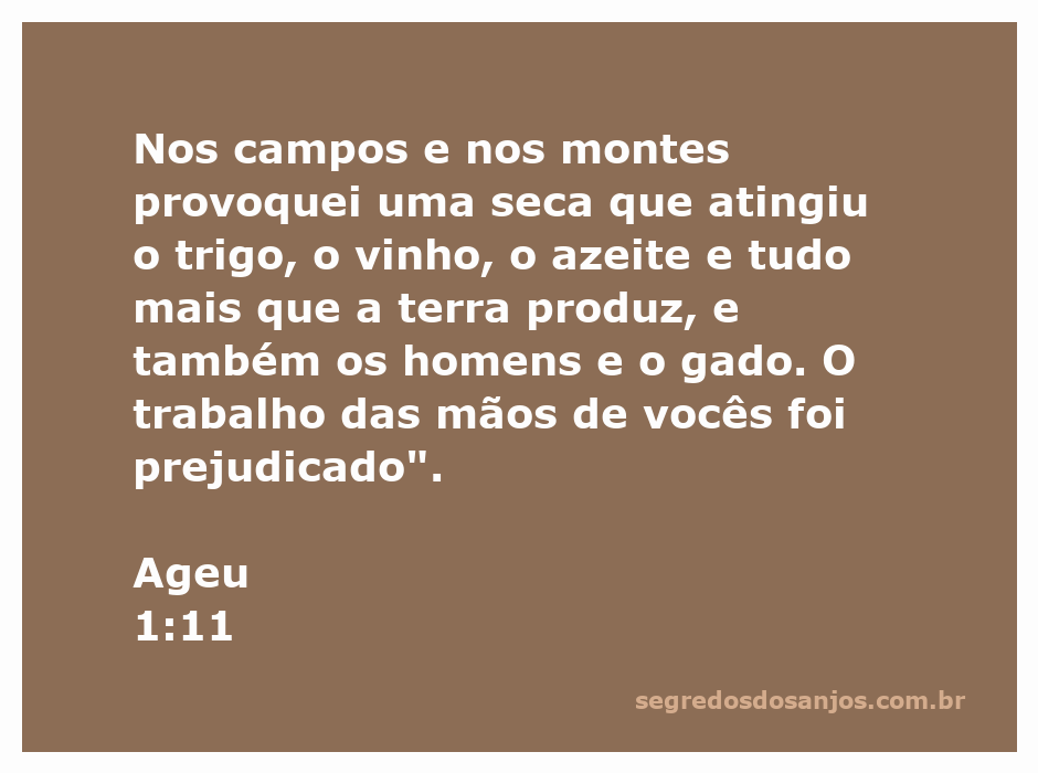 Imagem representando a seca nos campos e montes, simbolizando a devastação das colheitas e o impacto sobre as pessoas e os animais, conforme Ageu 1:11.