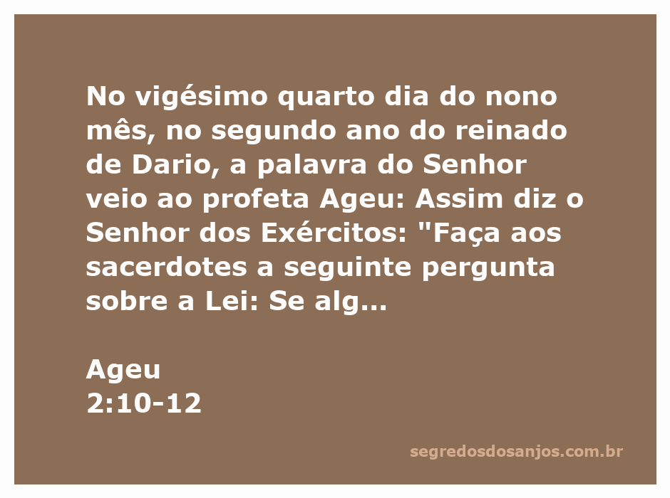 Ilustração do profeta Ageu transmitindo a palavra do Senhor aos sacerdotes sobre a consagração na Lei.