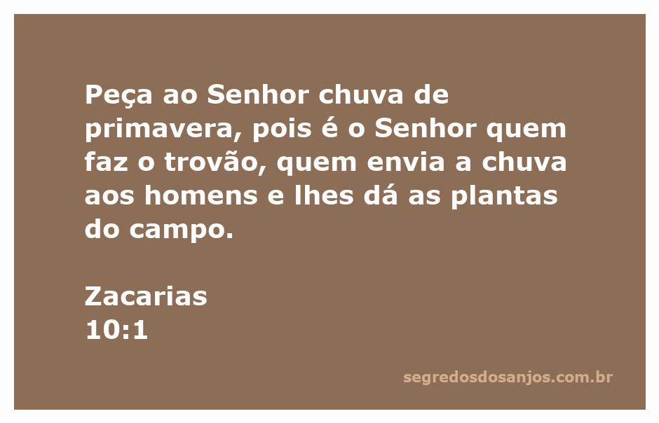 Imagem representativa de chuva de primavera, simbolizando a benção divina e o crescimento das plantas.