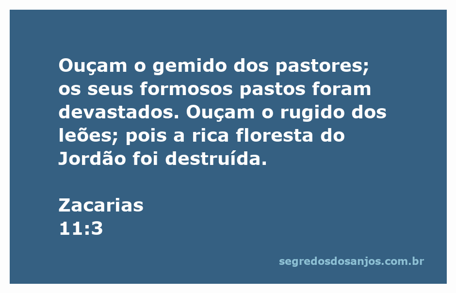Imagem que representa o lamento dos pastores e a destruição da floresta do Jordão, simbolizando a devastação mencionada em Zacarias 11:3.