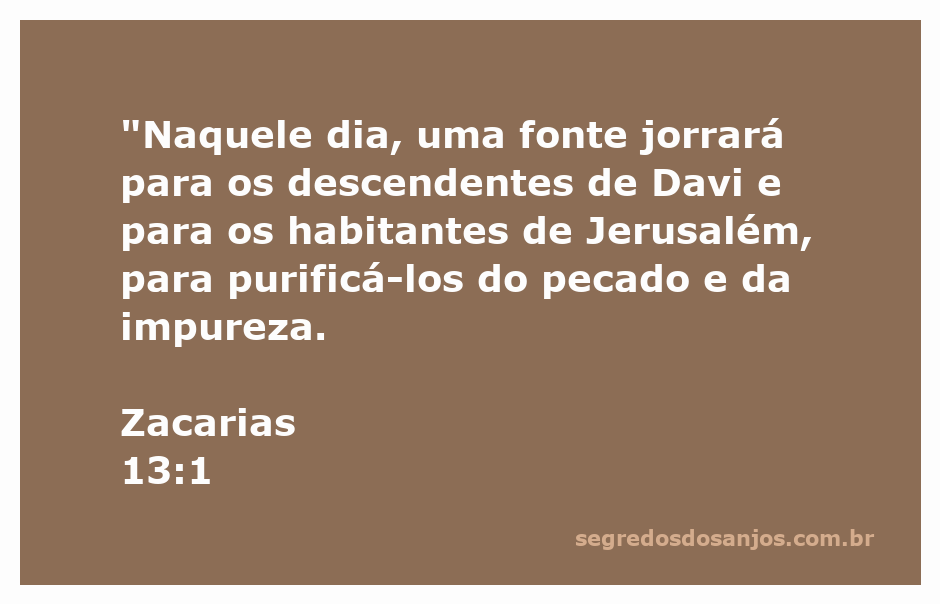 Imagem representando a fonte jorrando em Jerusalém, simbolizando a purificação dos descendentes de Davi e dos habitantes da cidade.