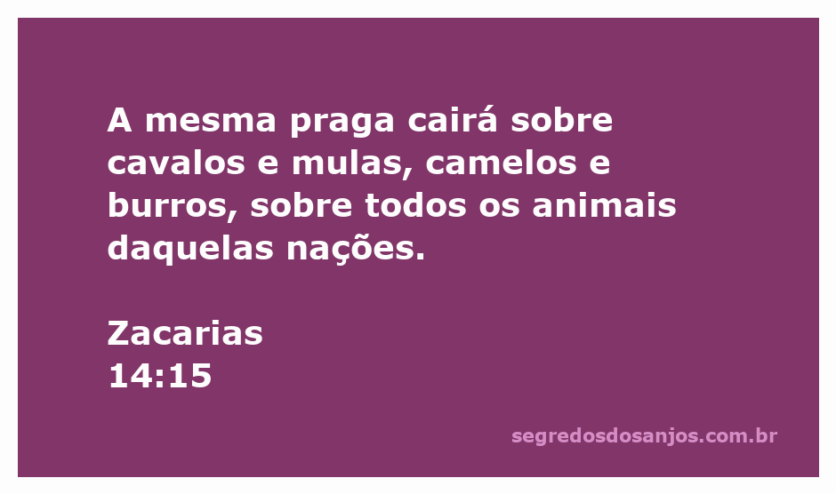 Cavalos, mulas, camelos e burros sob a praga mencionada em Zacarias 14:15