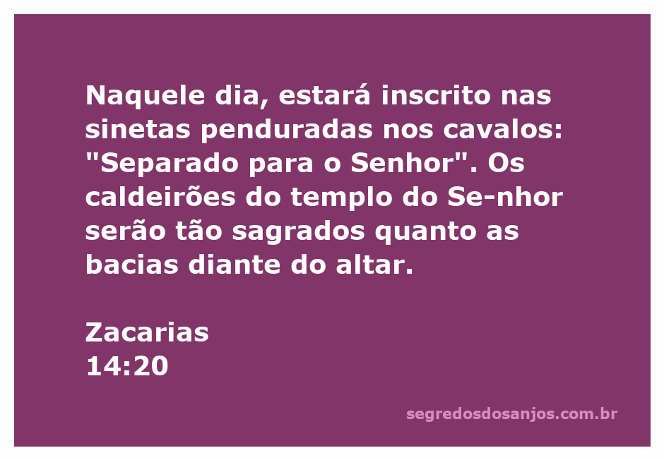 Imagem representando as sinetas nos cavalos com a inscrição 'Separado para o Senhor' e caldeirões sagrados do templo.
