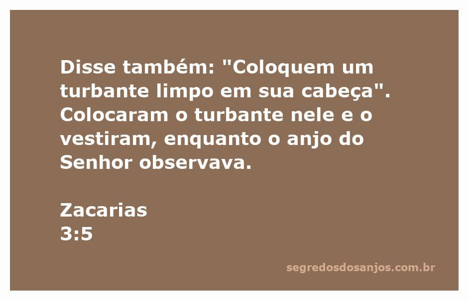 Imagem de um anjo colocando um turbante limpo na cabeça de um sacerdote, simbolizando purificação e missão divina.