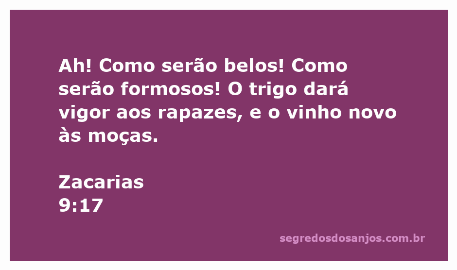 Imagem representando a beleza e a abundância do trigo e do vinho, simbolizando a vitalidade da juventude.