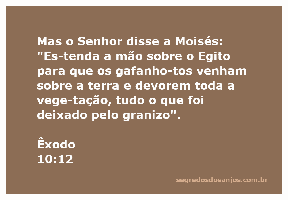 Moisés estendendo a mão sobre o Egito, invocando a praga dos gafanhotos que devorará a vegetação.