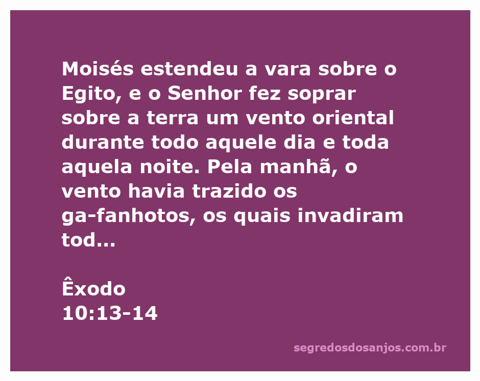 Moisés estendendo sua vara sobre o Egito enquanto um vento oriental traz gafanhotos