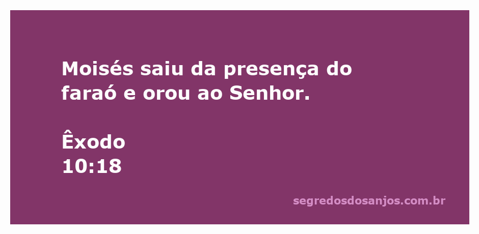 Moisés orando ao Senhor após se encontrar com o faraó