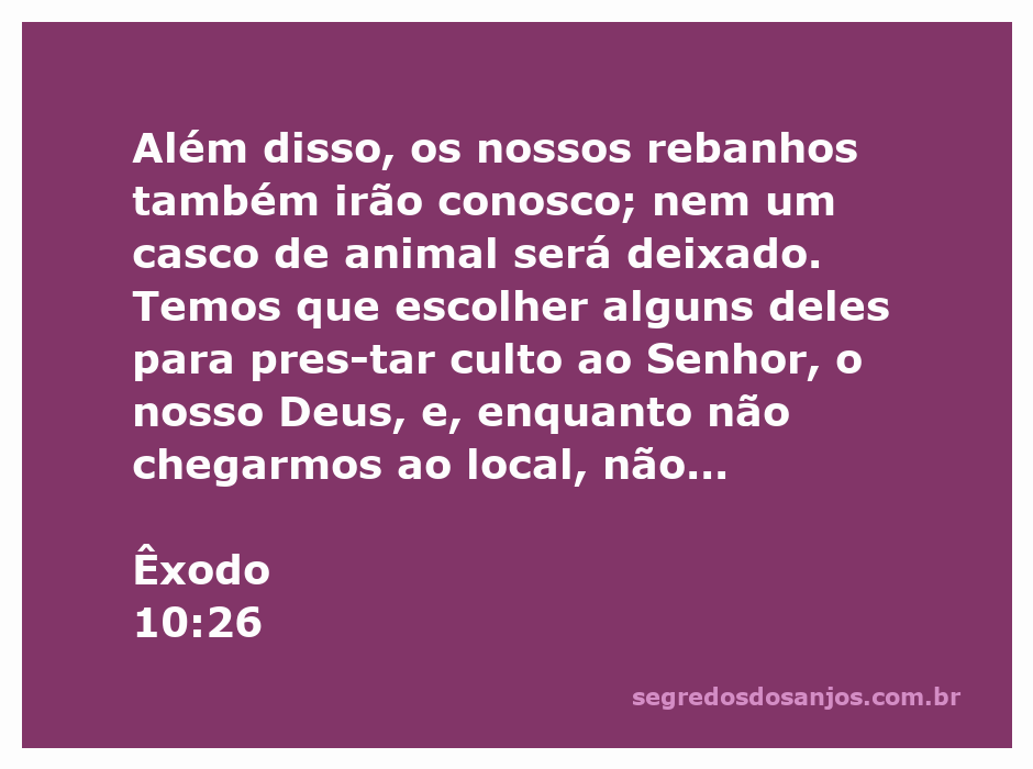 Ilustração da passagem bíblica Êxodo 10:26 sobre a importância dos rebanhos na adoração a Deus.