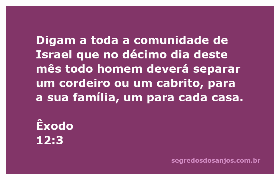 Ilustração de um cordeiro sendo separado para a Páscoa, conforme Êxodo 12:3