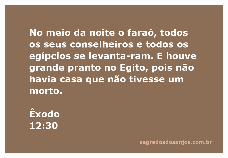 Ilustração do luto no Egito após a morte dos primogênitos, conforme Êxodo 12:30.