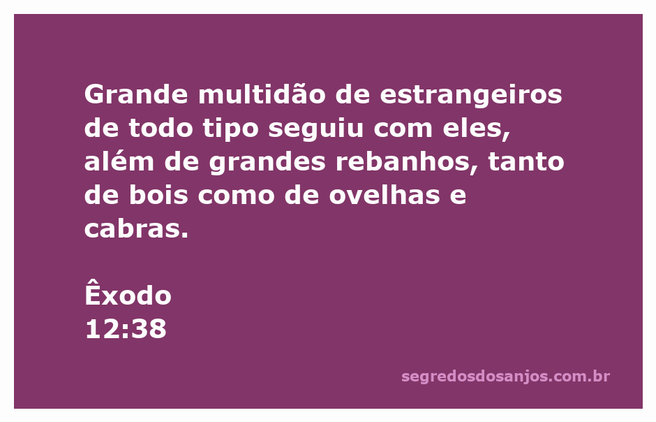 Multidão de estrangeiros e rebanhos seguindo os israelitas na saída do Egito.