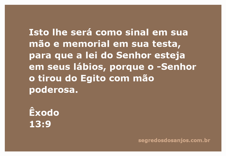 Imagem representativa do versículo Êxodo 13:9, destacando a importância da lei do Senhor como sinal e memorial.