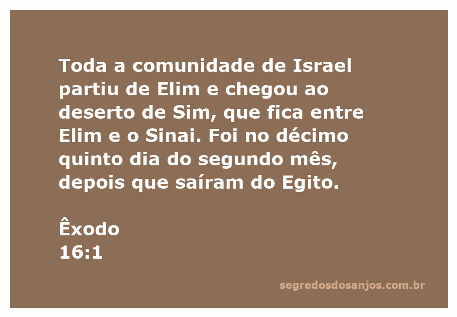 Mapa mostrando a rota da comunidade de Israel do Egito ao deserto de Sim, destacando Elim e o Sinai.