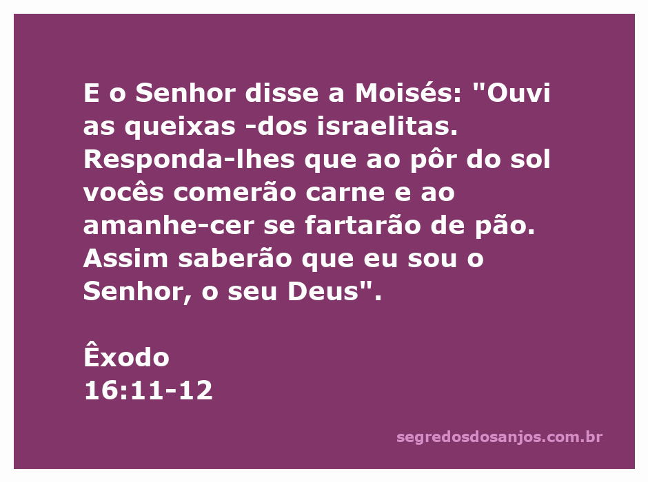 Moisés recebendo instruções de Deus sobre o alimento que os israelitas receberão no deserto.