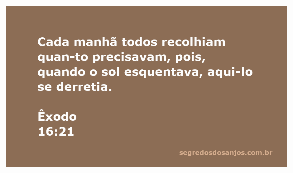 Imagem de pessoas recolhendo maná ao amanhecer no deserto, simbolizando a provisão divina.