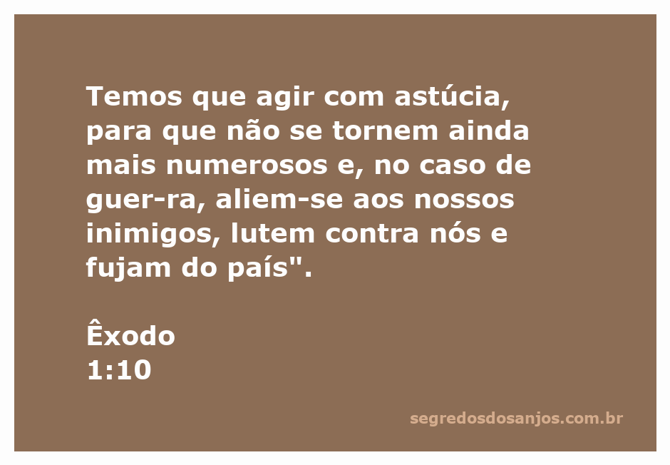 Imagem representativa da astúcia e estratégia no contexto da passagem bíblica Êxodo 1:10.