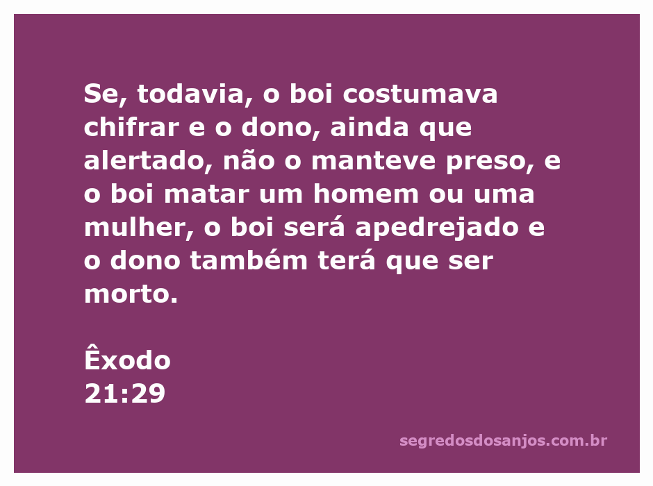 Ilustração de um boi em um campo, representando a passagem bíblica de Êxodo 21:29 sobre a responsabilidade do dono de um animal agressivo.