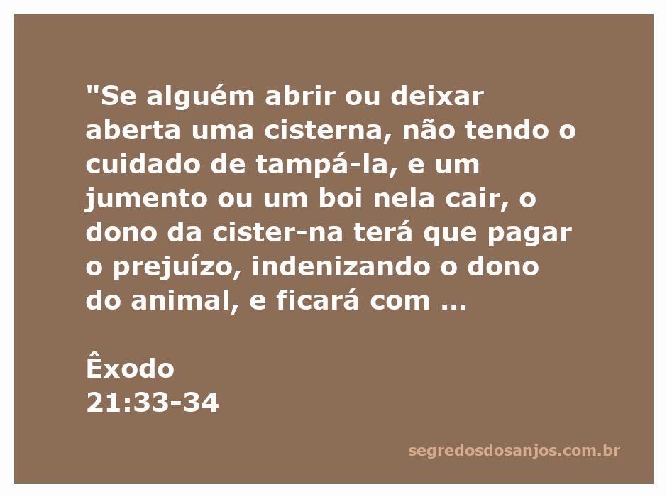 Ilustração de uma cisterna aberta com um jumento ao lado, simbolizando a responsabilidade do proprietário.