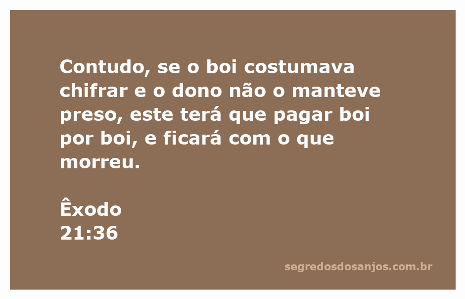 Ilustração de um boi e um campo, representando a responsabilidade do dono sobre seus animais.