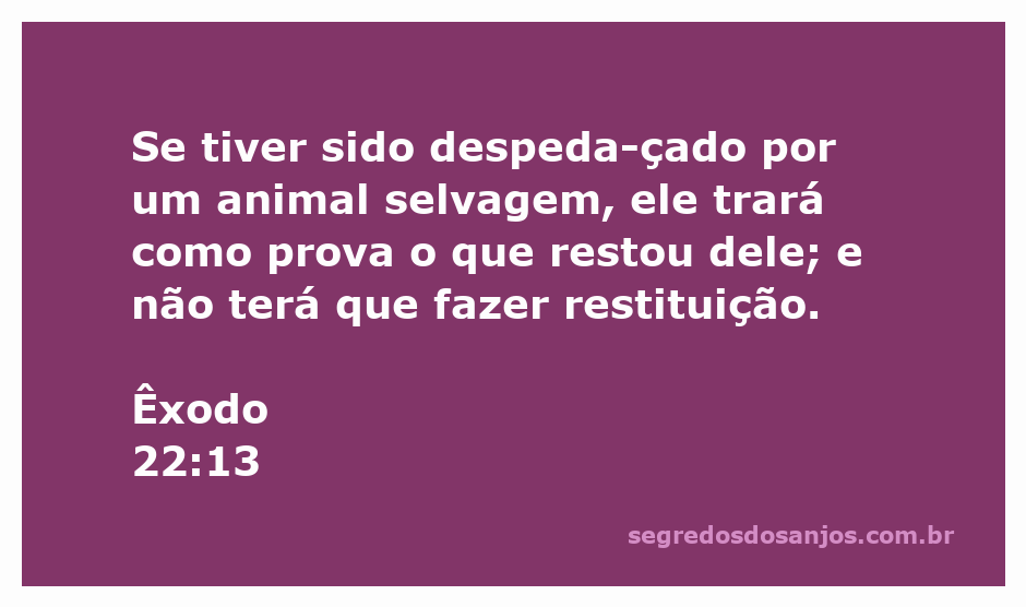 Imagem representando a restituição de bens danificados por animais selvagens, com referência ao versículo Êxodo 22:13.