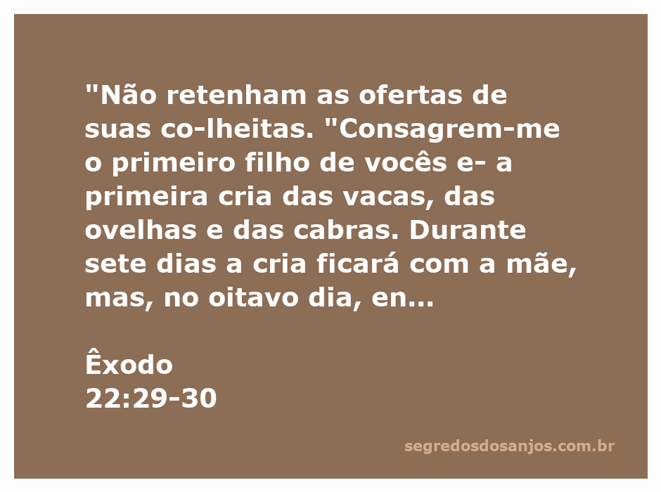 Imagem de um campo de colheita com um cordeiro e uma vaca, simbolizando as ofertas e consagrações mencionadas em Êxodo 22:29-30.