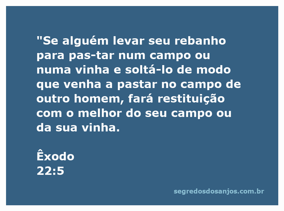 Ilustração de um rebanho pastando em um campo, simbolizando a responsabilidade sobre a propriedade alheia conforme Êxodo 22:5.