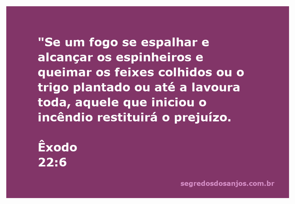 Ilustração de um incêndio em uma lavoura, representando a advertência de Êxodo 22:6 sobre a responsabilidade pelos danos causados por fogo.