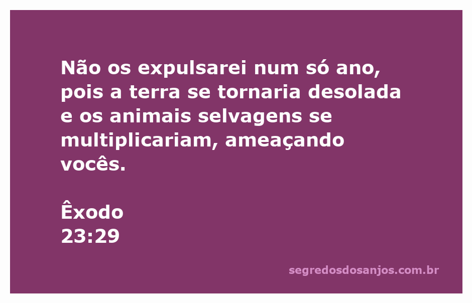 Imagem representativa da passagem bíblica Êxodo 23:29, ilustrando a ideia de um processo gradual de conquista da terra prometida.