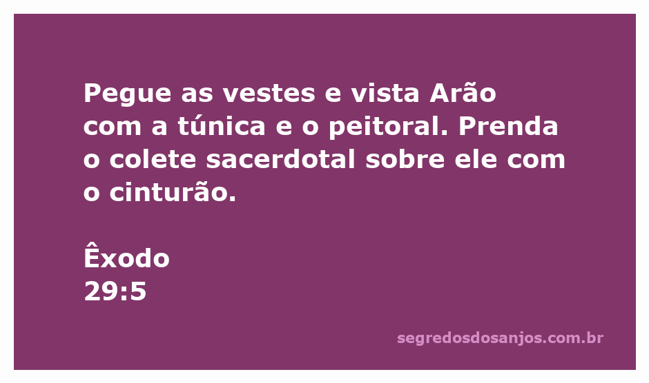 Arão vestido com a túnica e o peitoral, representando o sacerdócio conforme Êxodo 29:5.