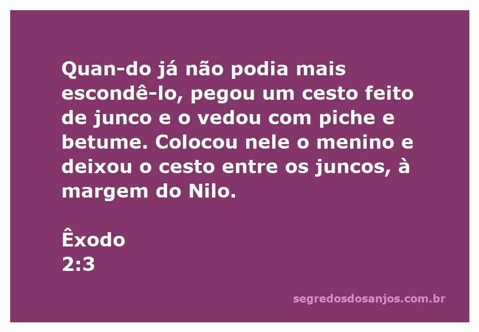 Imagem de um cesto feito de junco à margem do Nilo, simbolizando a proteção de Moisés na infância.