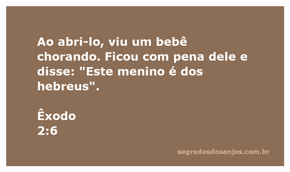 Imagem de uma mãe hebreia encontrando um bebê chorando no rio Nilo.