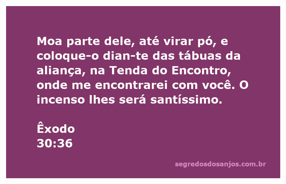 Imagem representativa do incenso sendo preparado e colocado diante das tábuas da aliança na Tenda do Encontro.