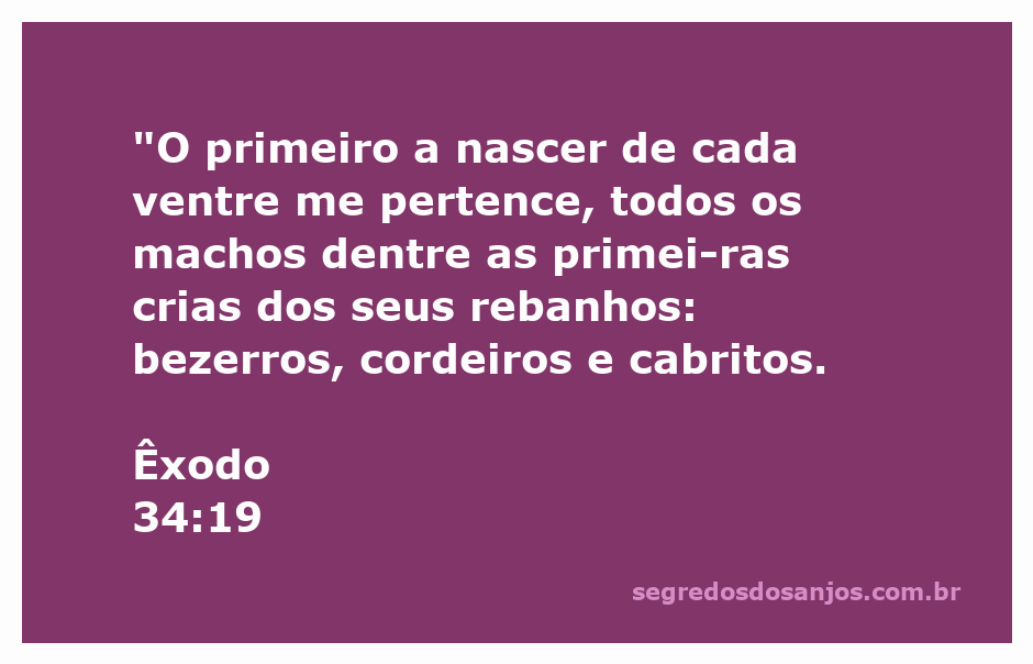 Representação do versículo de Êxodo 34:19 destacando a importância dos primeiros nascidos como pertencentes a Deus.