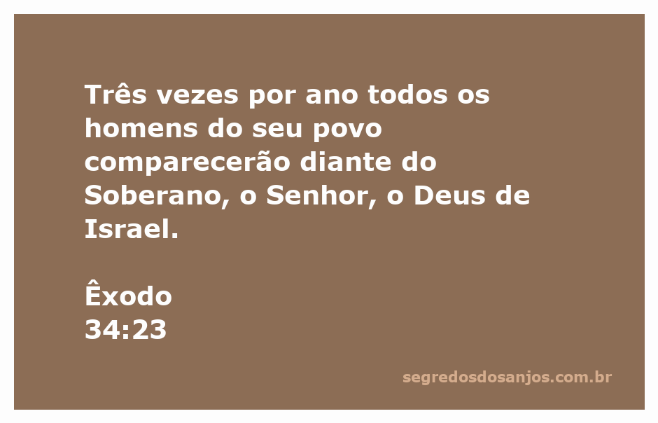 Homens do povo de Israel reunidos para comparecer diante do Senhor conforme Êxodo 34:23.