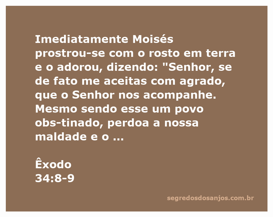 Moisés prostrando-se em adoração diante de Deus, implorando por perdão para o povo de Israel.