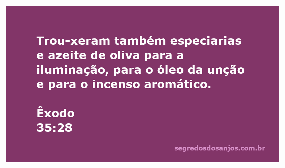 Especiarias e azeite de oliva utilizados na iluminação e unção, conforme Êxodo 35:28