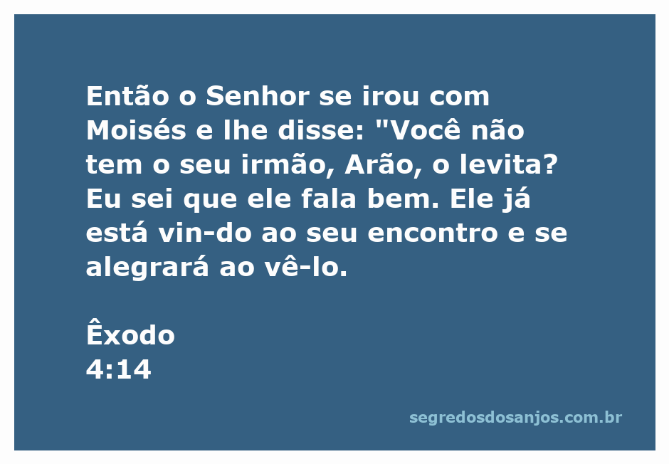 Moisés e Arão se encontram, representando a comunicação e apoio entre irmãos na missão divina.