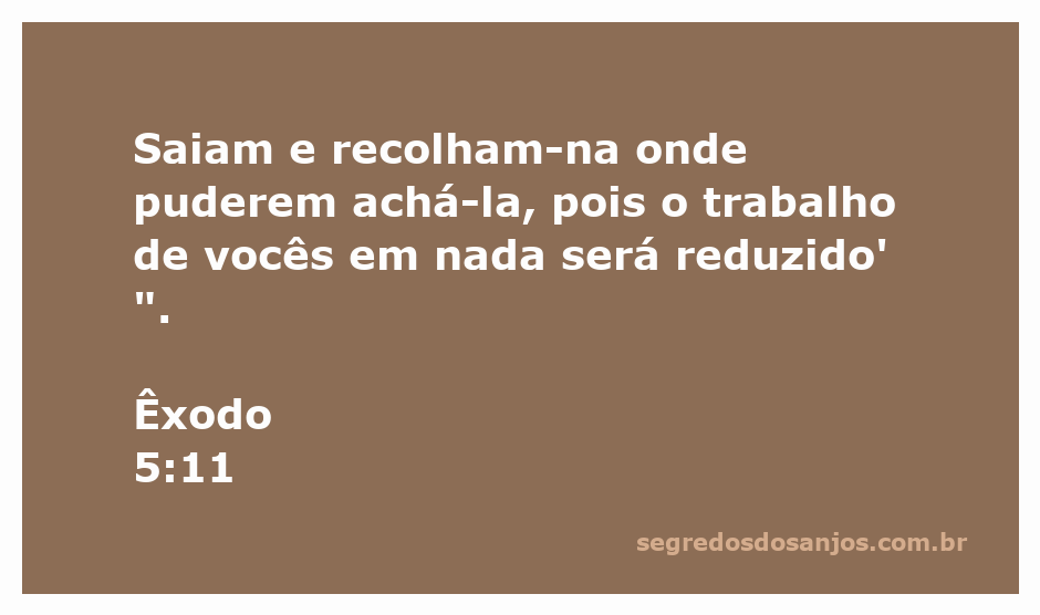 Trabalhador recolhendo palha em um campo, simbolizando a exigência de trabalho sem redução
