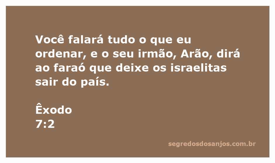 Moisés e Arão diante do faraó, comunicando a mensagem de Deus sobre a libertação dos israelitas.