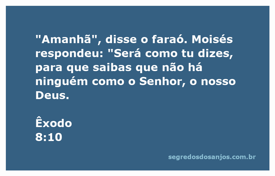 Moisés diante do faraó, destacando a grandeza de Deus em Êxodo 8:10.