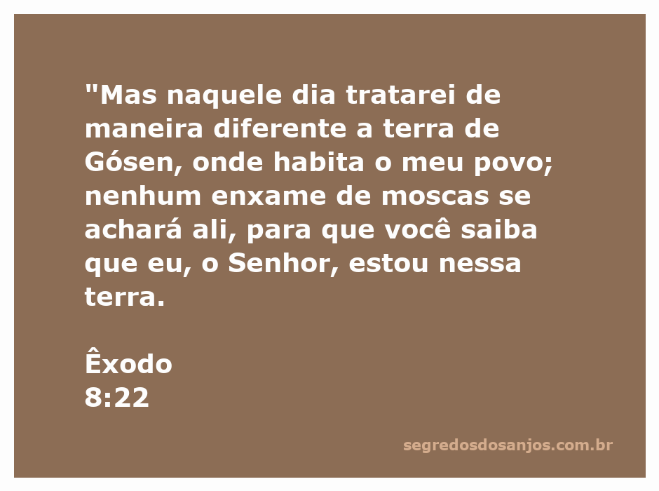 Ilustração da terra de Gósen, destacando a proteção divina contra as moscas durante a praga do Egito.