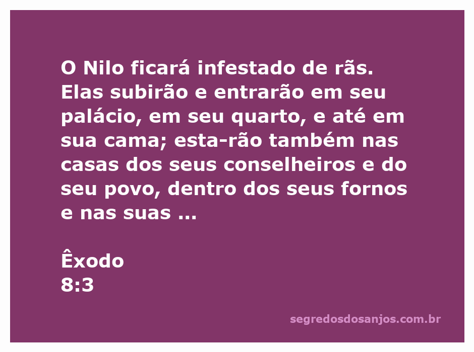 Imagem representativa da praga de rãs no Egito, conforme descrito em Êxodo 8:3.