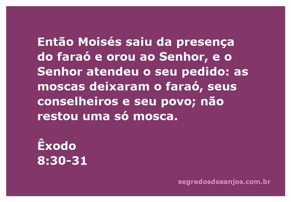 Moisés orando ao Senhor enquanto as moscas deixam o faraó e seu povo.